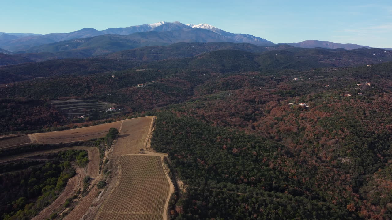paisaje montañoso con viñedos