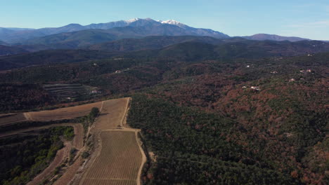 mountainous landscape with vineyards