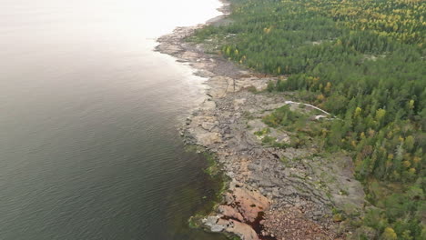 rugged shore and lush autumn trees during cloudy day in sweden