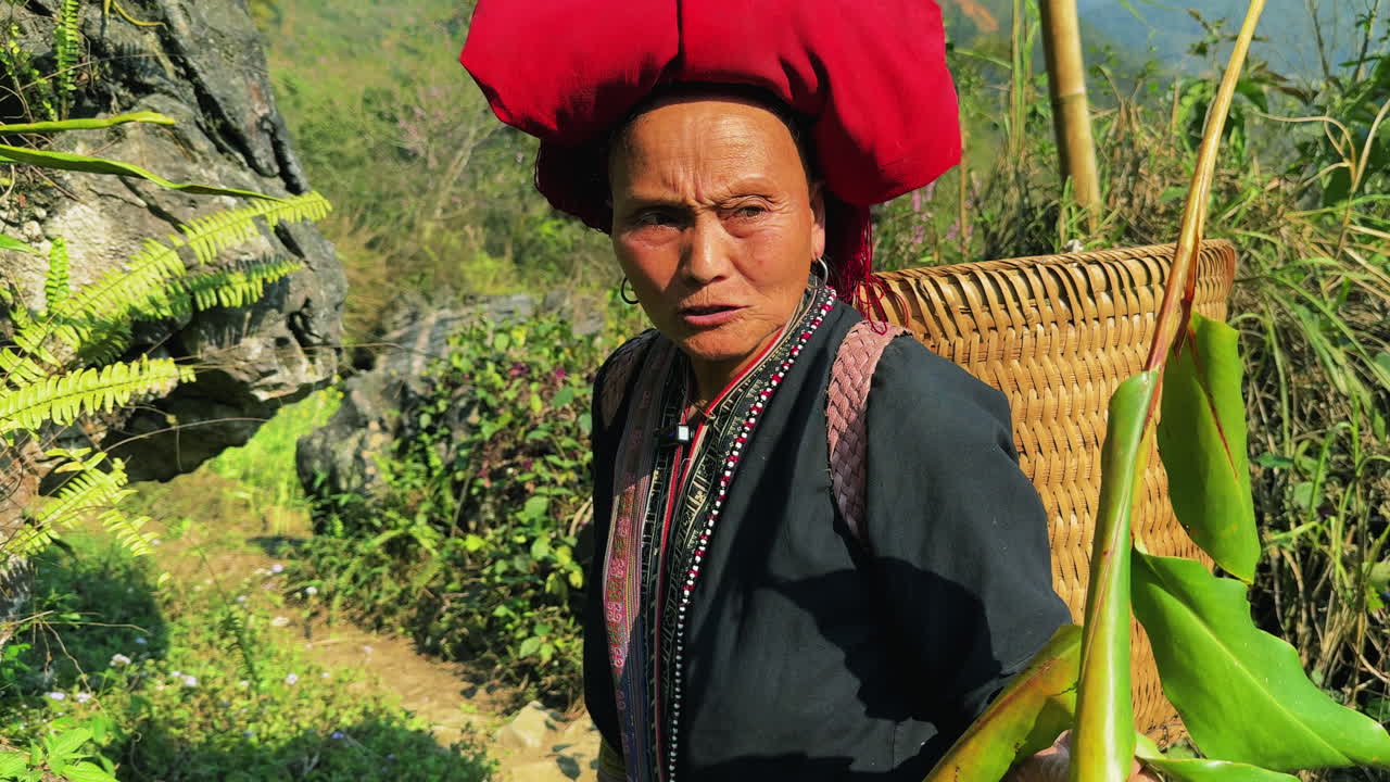 Elderly woman foraging herbs in Tả Phìn, wearing traditional Black Dao clothing