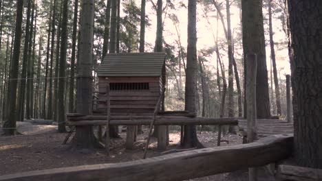casa de árbol de madera en un bosque