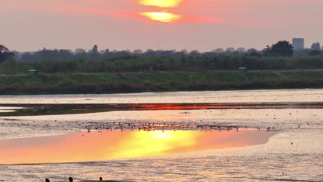 bright orange sunshine reflected in still water below