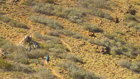 Wanderer-Geht-Durch-Wüstenbuschlandschaft,-Zentralaustralien