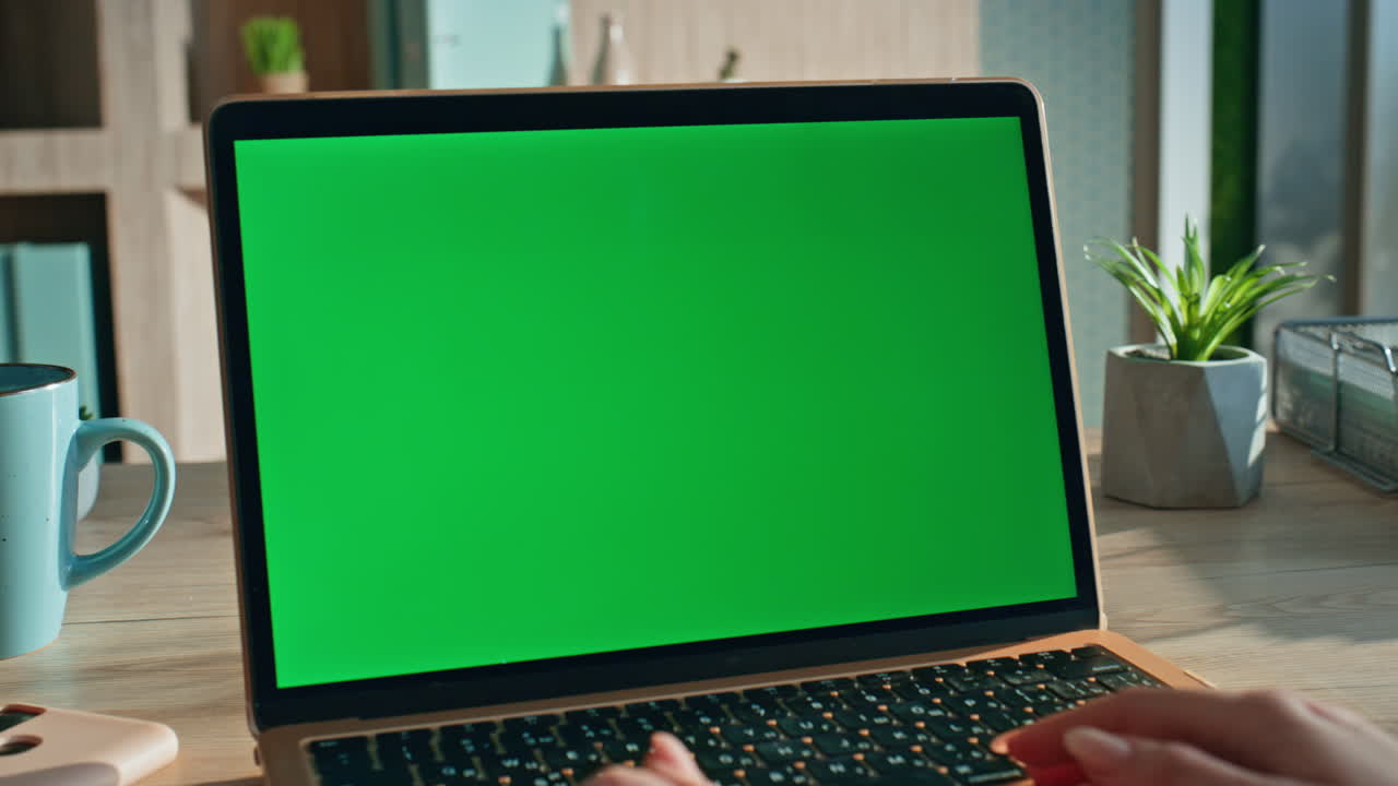 Business lady looking greenscreen laptop checking schedule at office close up.