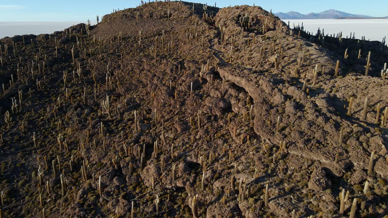 High drone pullback of Isla Incahuasi with shadow casting across surrounding salt terrain