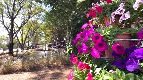 colorful flowers bloom in a serene garden setting