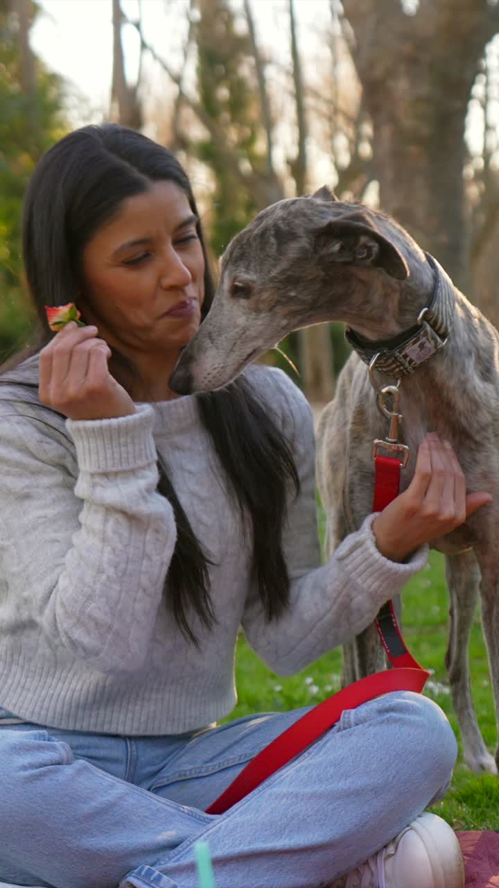 Mulher Feliz Comendo Morango com Seu Cão Galgo em um Parque