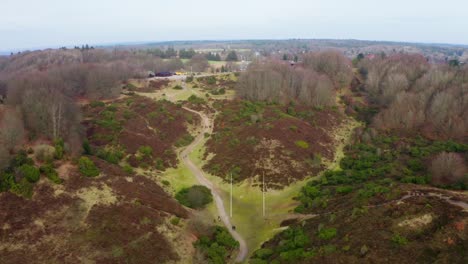 aerial shot of a beautiful forest in denmark