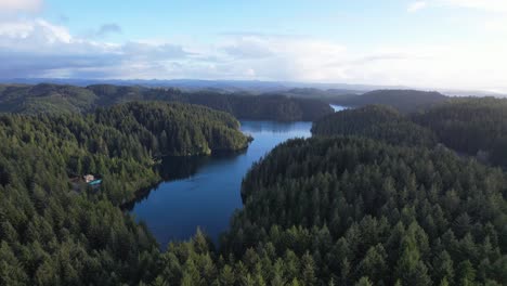 beautiful 4k aerial drone shot peaking over southern oregon tree landscape and river