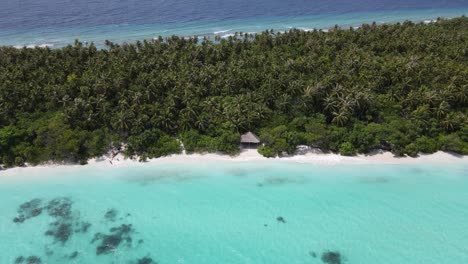 Drone-shot-of-a-wooden-shed-hidden-in-trees-on-tropical-maldivian-island-on-the-beach-with-magical-blue-shallow-waters