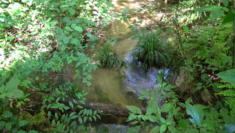 Fuente-Del-Río-En-El-Sendero-Natural-Kew-Mae-Pan-En-Chiang-Mai,-Tailandia