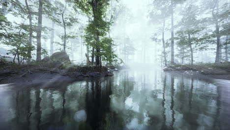 early morning white dense fog covering the pond