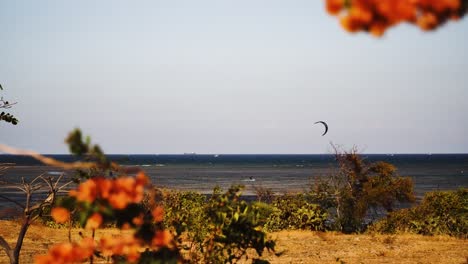 Vista-A-Través-De-Las-Plantas-De-Kitesurf-En-El-Mar-Agitado-En-Un-Día-Ventoso,-Mi-Laguna-Hoa-En-Vietnam