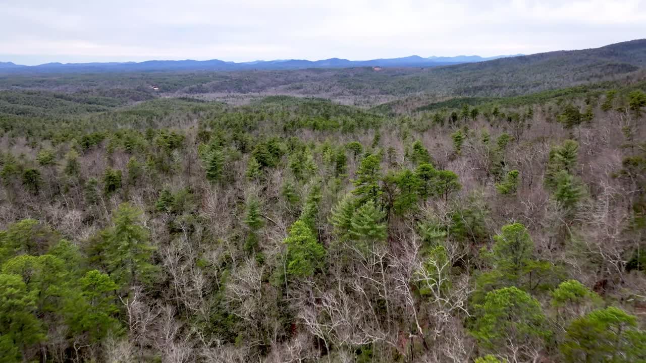 antena sobre bosque de pinos y frondosas en el bosque nacional pisgah en nc, carolina del norte