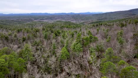 Antena-Sobre-Bosque-De-Pinos-Y-Frondosas-En-El-Bosque-Nacional-Pisgah-En-Nc,-Carolina-Del-Norte