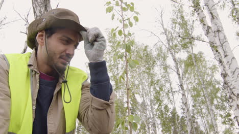 bottom view of a caucasian planting a tree in the forest