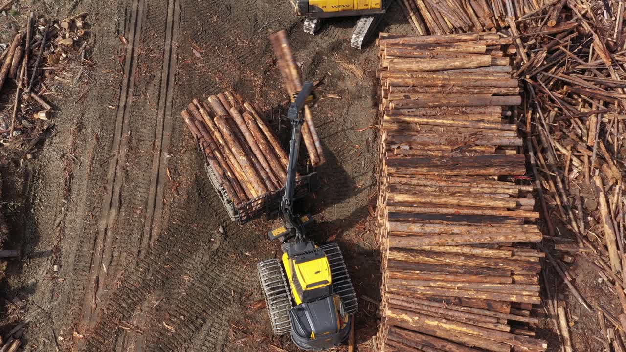 vista desde un avión no tripulado: un transportista descargando madera en una reserva a lo largo de la carretera