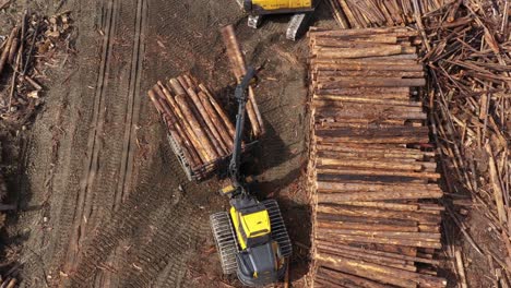 vista desde un avión no tripulado: un transportista descargando madera en una reserva a lo largo de la carretera