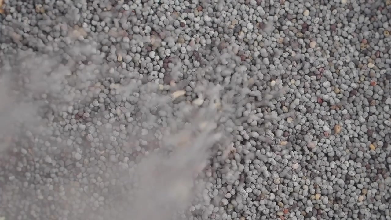 Close-up de Sementes de Papoula Caindo e Quicando em Câmera Lenta