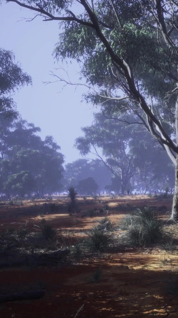 Alberi e sottobosco in un paesaggio forestale con leggera nebbia al mattino