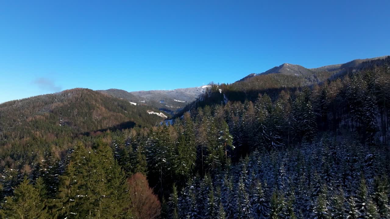 Forest With Conifer Trees In The Mountainous Landscape Of Styria In Southern Austria. Aerial Drone Shot