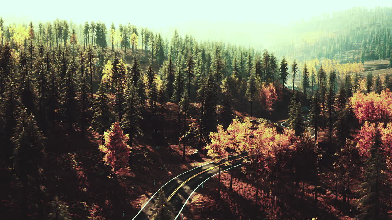 가을 에 숲 을 가로지르는 휘어지는 도로 의 공중 사진