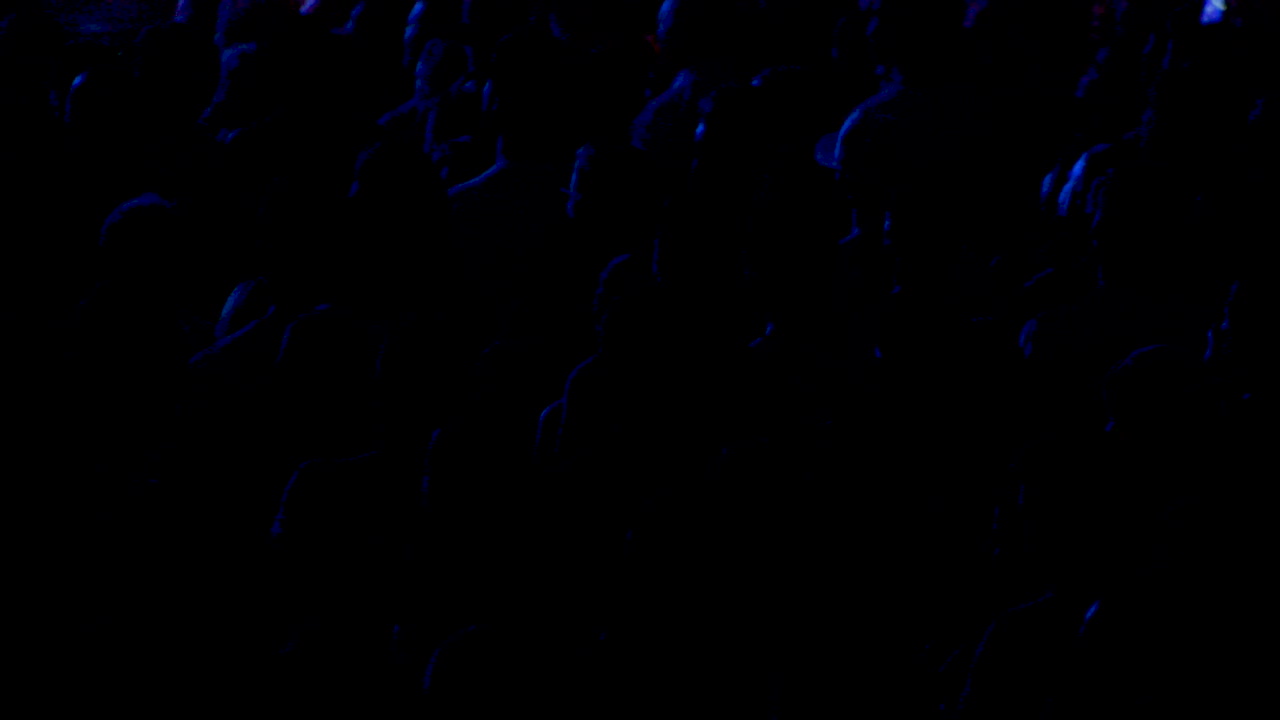 라이브 콘서트에서 환호하는 군중 실루엣