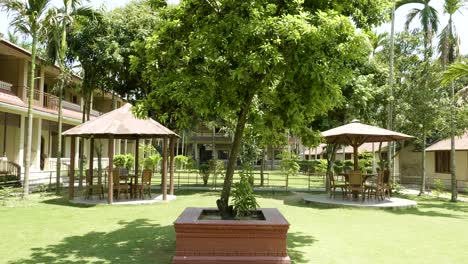 el patio verde del hotel en asia. aldea en el parque nacional de chitwan, nepal.