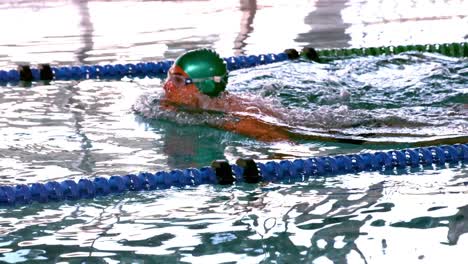 fit swimmer doing the breast stroke in the swimming pool