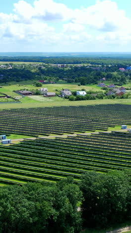 solar farm in the countryside. large solar power station with blue sunny batteries on field. alternative source of sustainable energy. aerial view. vertical video