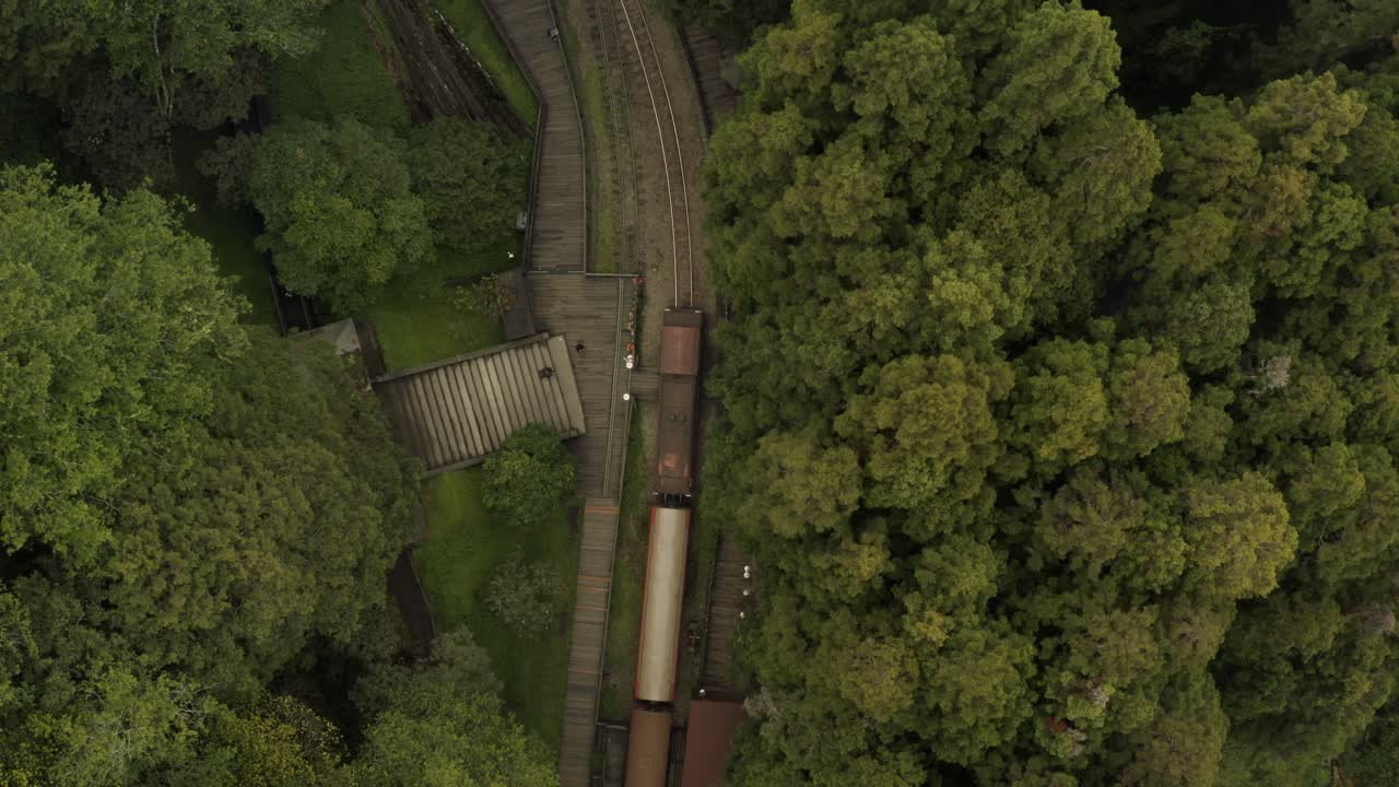 toma aérea siguiente de un tren de cercanías se mueve en el bosque en niebla