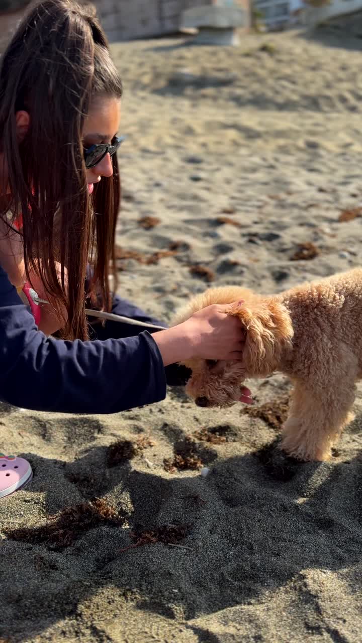 해변에 있는 소녀와 개