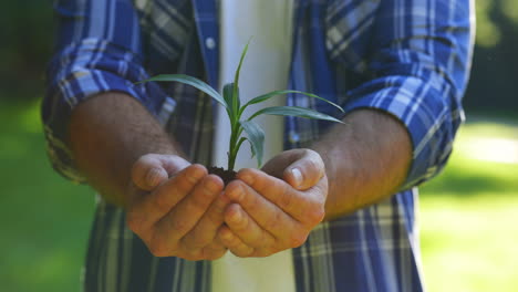man holding a small plant in his hands