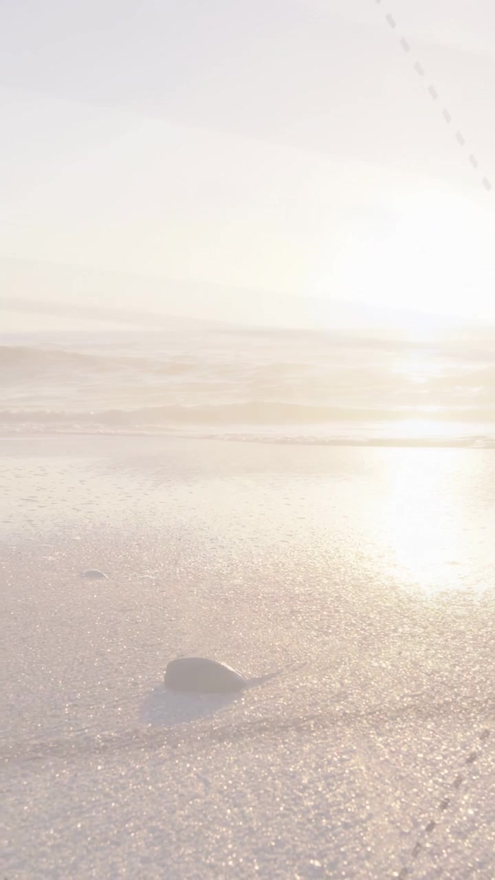Vertical video: Low sun casting long glare, small rock sitting, flock crossing, waves shimmering