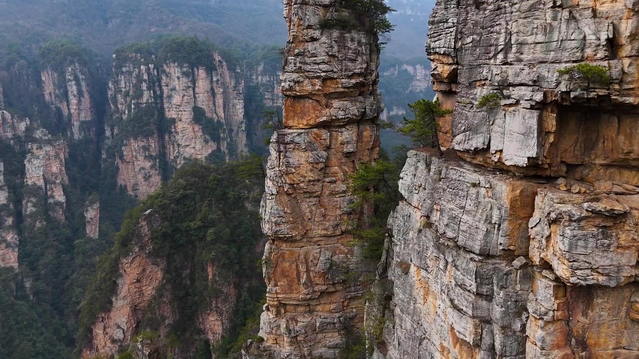 Queste antiche scogliere nel Parco Nazionale Forestale di Zhangjiajie mostrano texture aspre e una vegetazione lussureggiante, creando un paesaggio drammatico e senza tempo nella regione di Wulingyuan in Cina