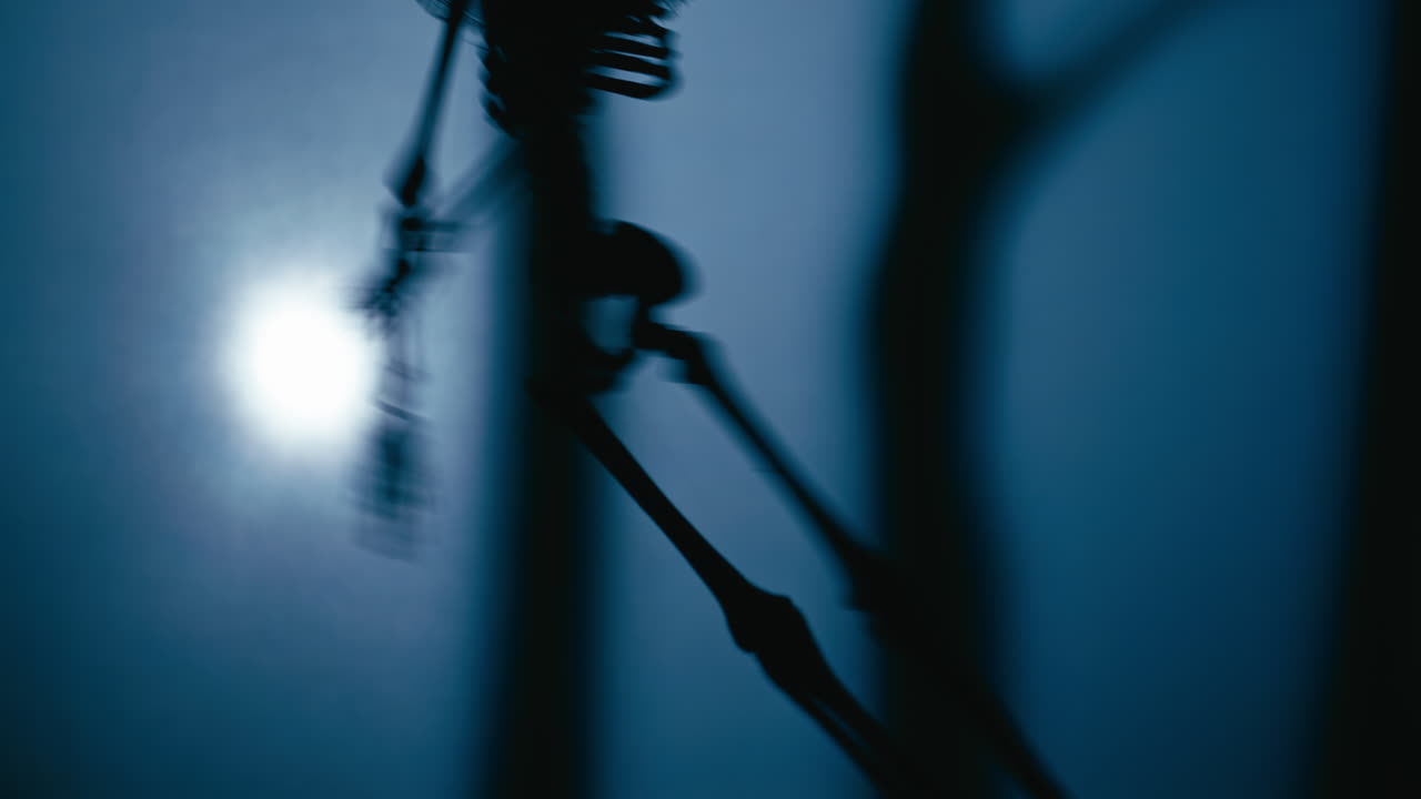 Dancing Skeleton Silhouette Halloween Horror Night