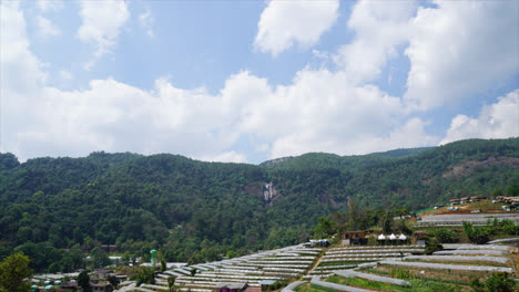 vivero de lapso de tiempo en la colina en tailandia