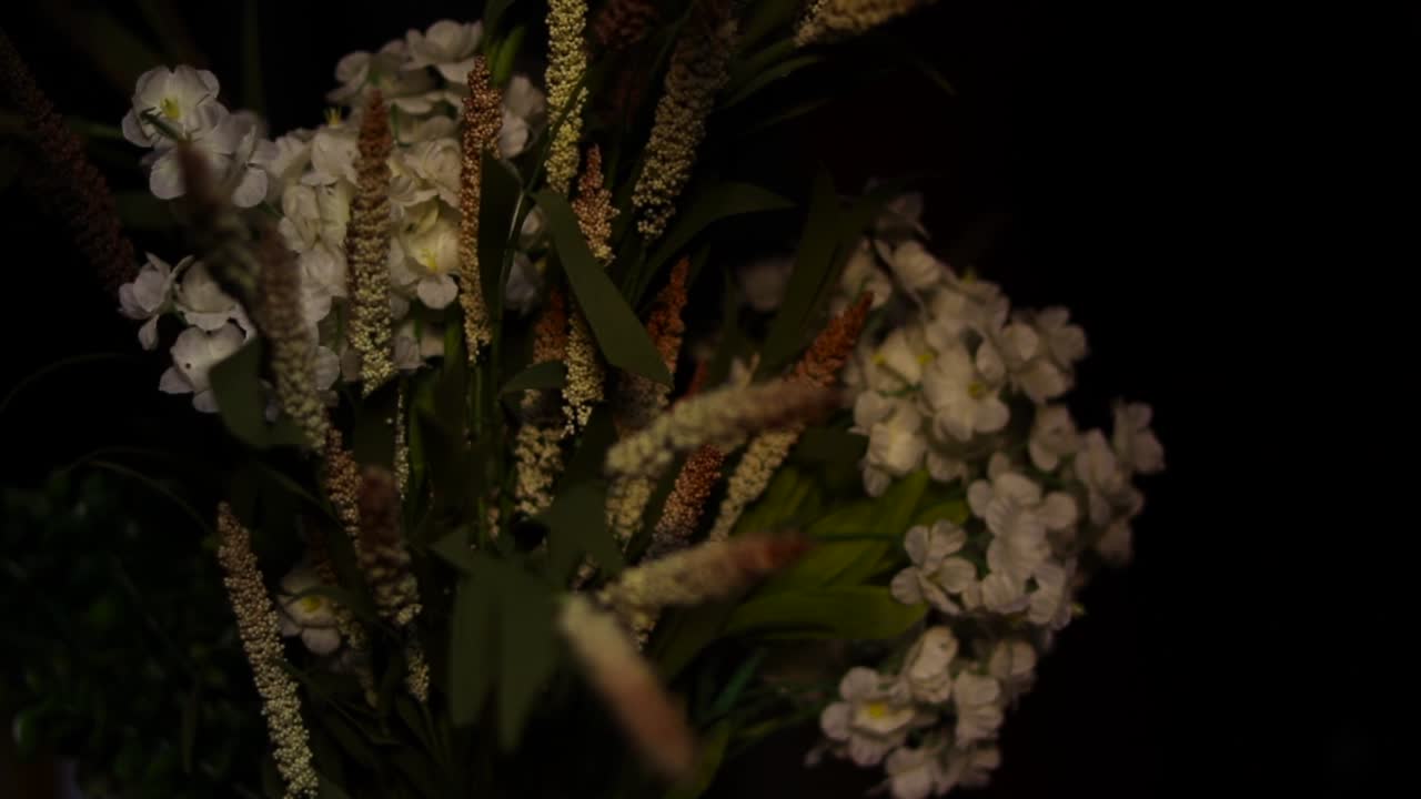 Slow smooth dolly shot push-in flowers on black background. Low angle slider clip