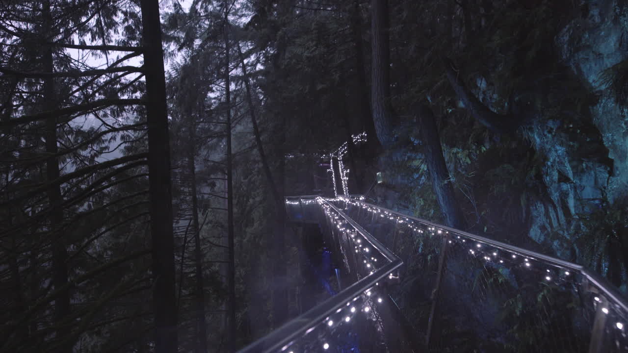 caminando por un sendero decorado con luces navideñas en el parque, noche lluviosa