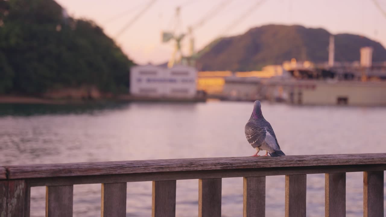 Sunset over Mukaisima Dock, Japan