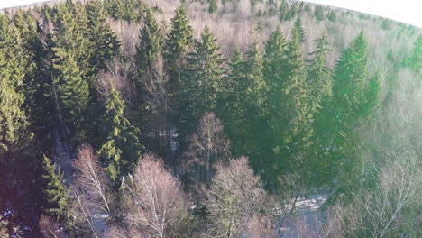 Winter-mixed-forest-Aerial-view-on-sunny-day