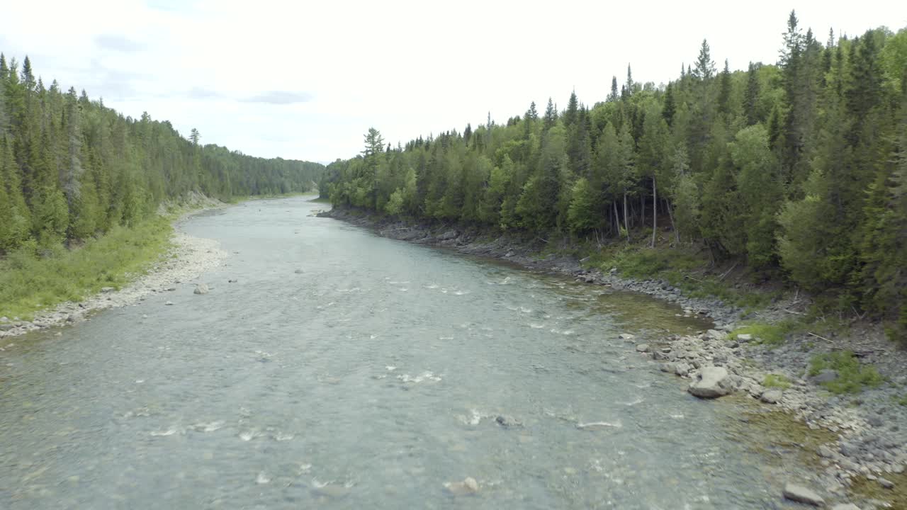 Drone flyver opstrøms over en lakseelv