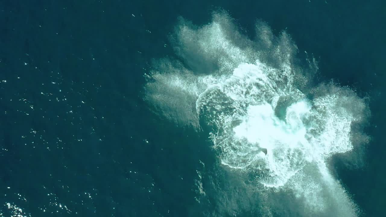 la ballena jorobada salta fuera del agua, de arriba hacia abajo, primer plano aéreo y cámara lenta, la ballena rompe la costa de sídney, océano pacífico sur, australia