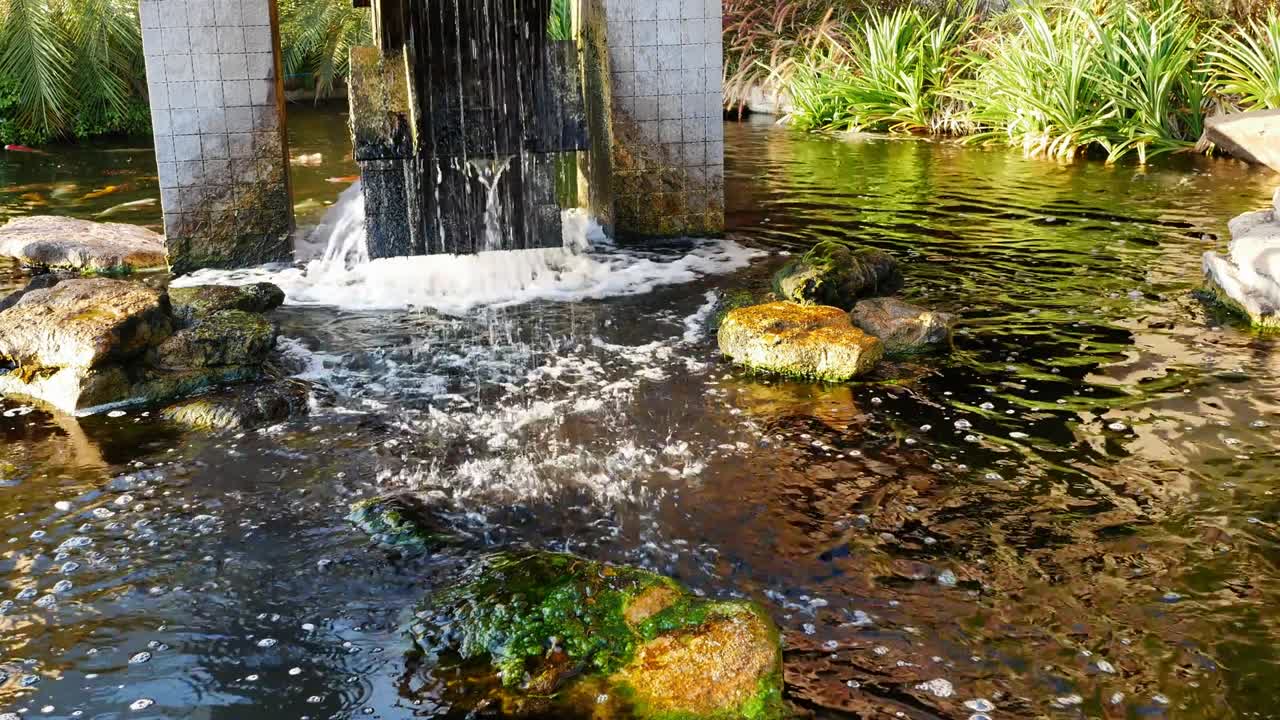 Water turbines are working to add oxygen to the water in the pond