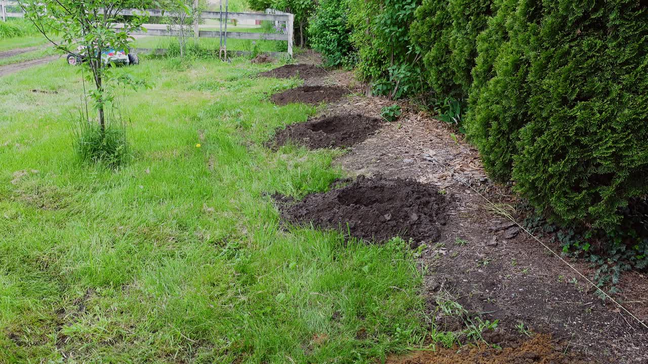 아름다운 농장에 새 울타리를 뚫기 위해 구멍을 뚫고