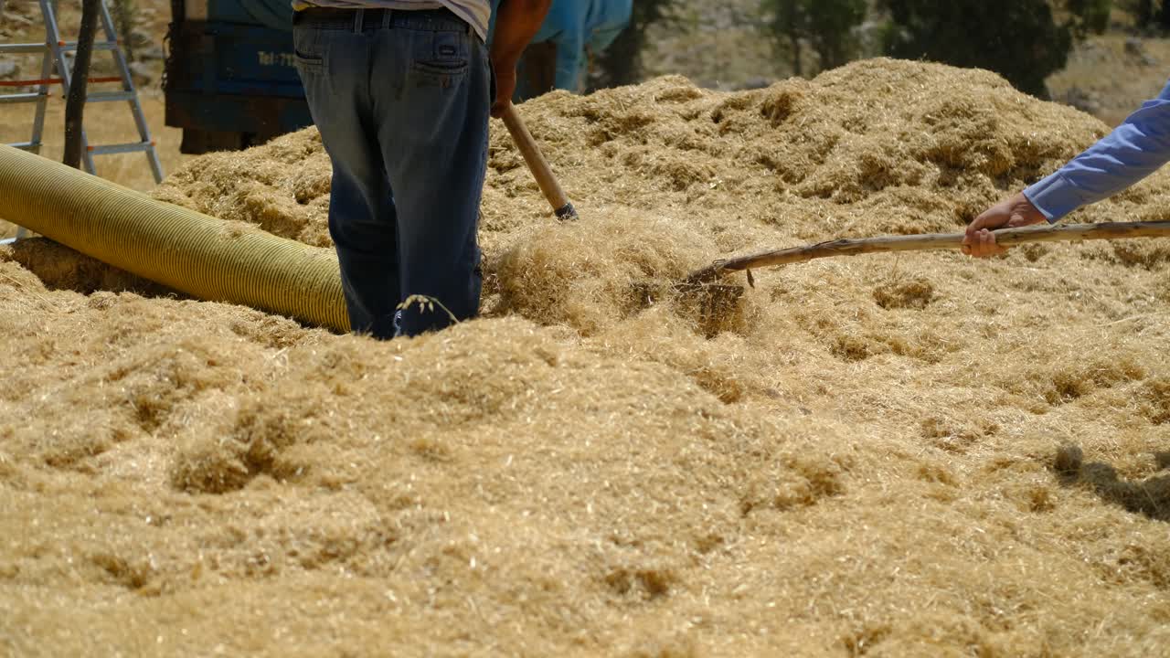 하이 스프레이어 성인 남자