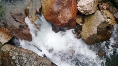 closeup of a clean mountain river in alps