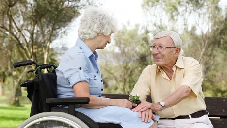 Pareja-De-Ancianos-Hablando-Sentado-Con-Flor