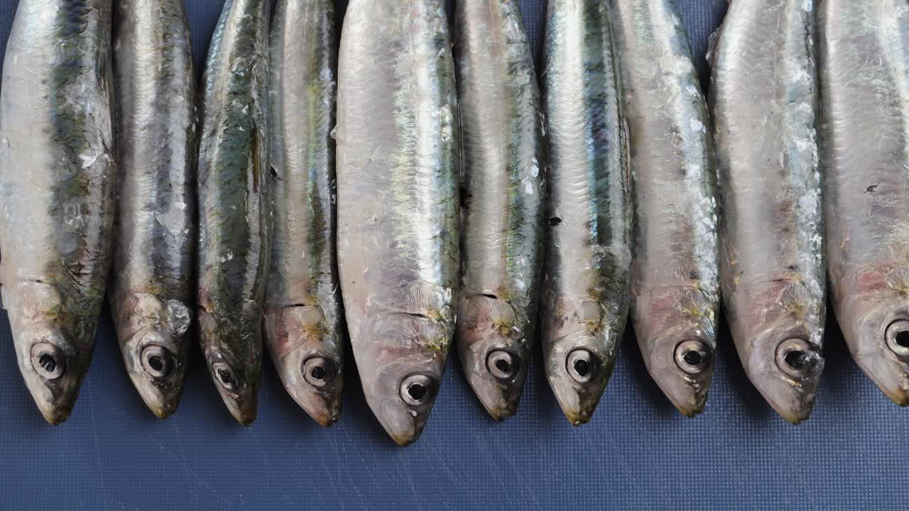 Fresh Sardines