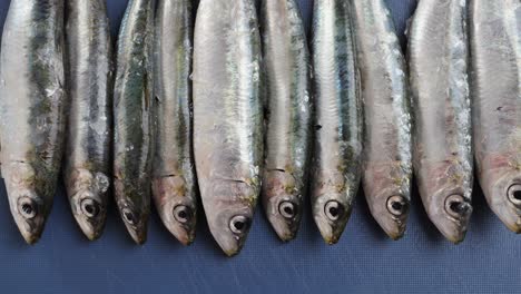 fresh sardines